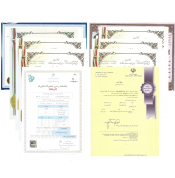 لوگوی شرکت راشا مکاترونیک